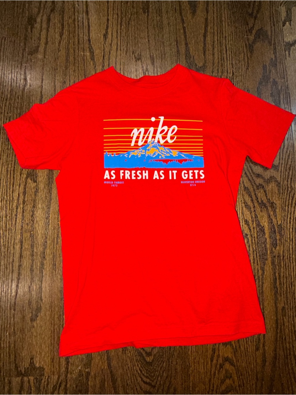 Boys Youth Medium Nike Red Mountain Graphic Short Sleeve Tee